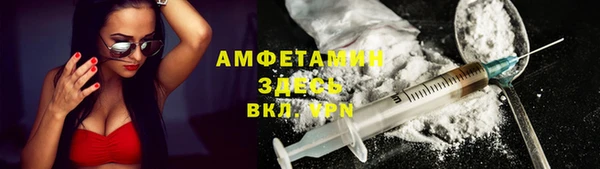 сатива Арсеньев