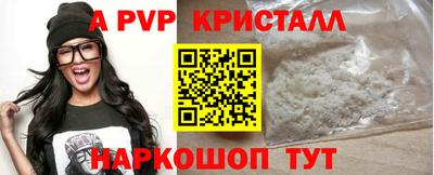 спиды Пугачёв