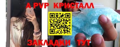 спиды Пугачёв