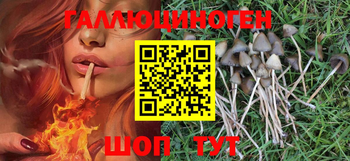 Старый Оскол  Галлюциногенные грибы Magic Shrooms  Вход с VPN  Галлюциногенные грибы MAGIC MUSHROOMS 